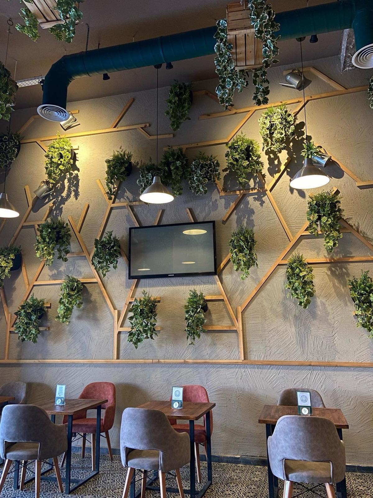 Cactus café