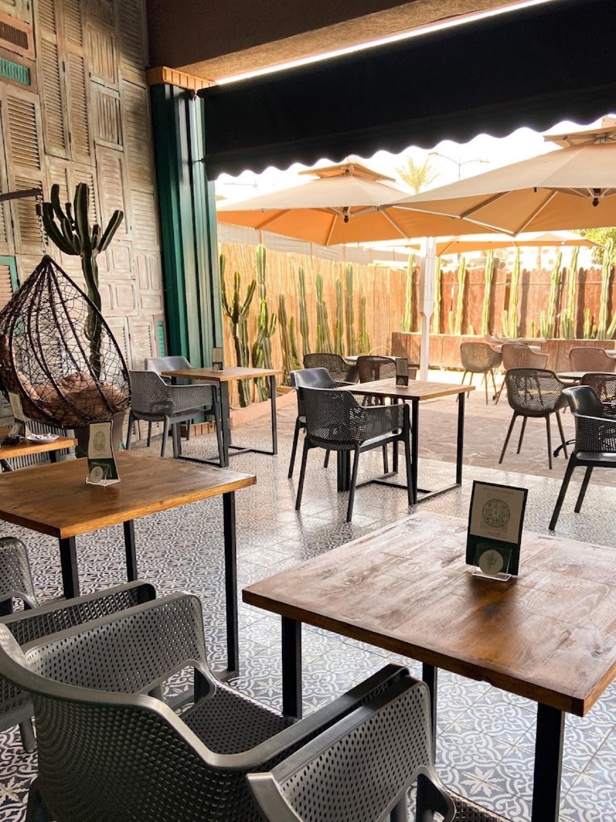 Cactus café