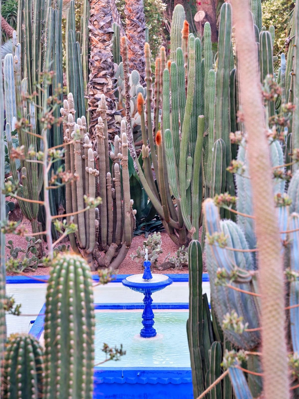 Jardin Majorelle