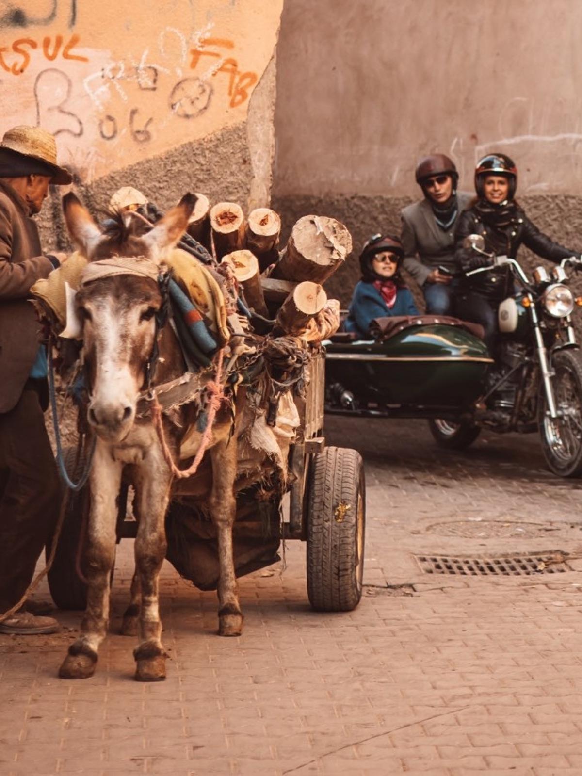 Marrakech Insiders