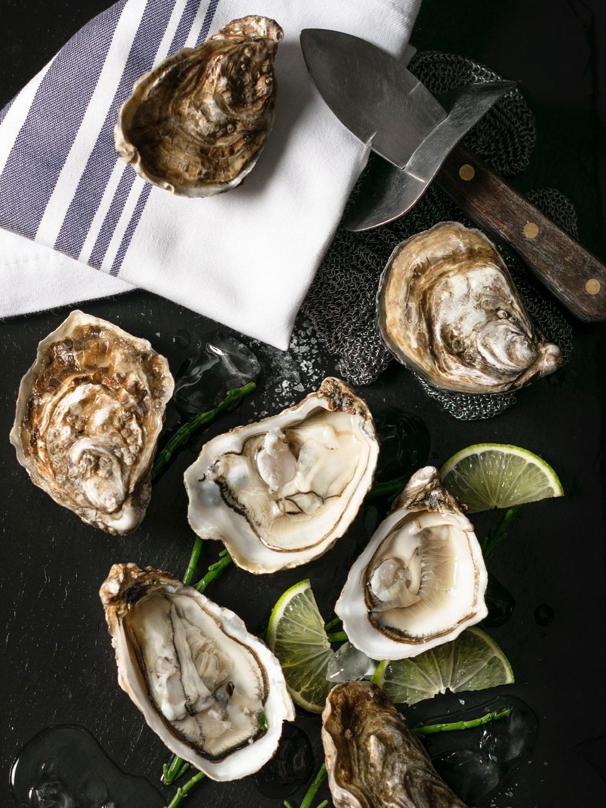 Patron de la Mer